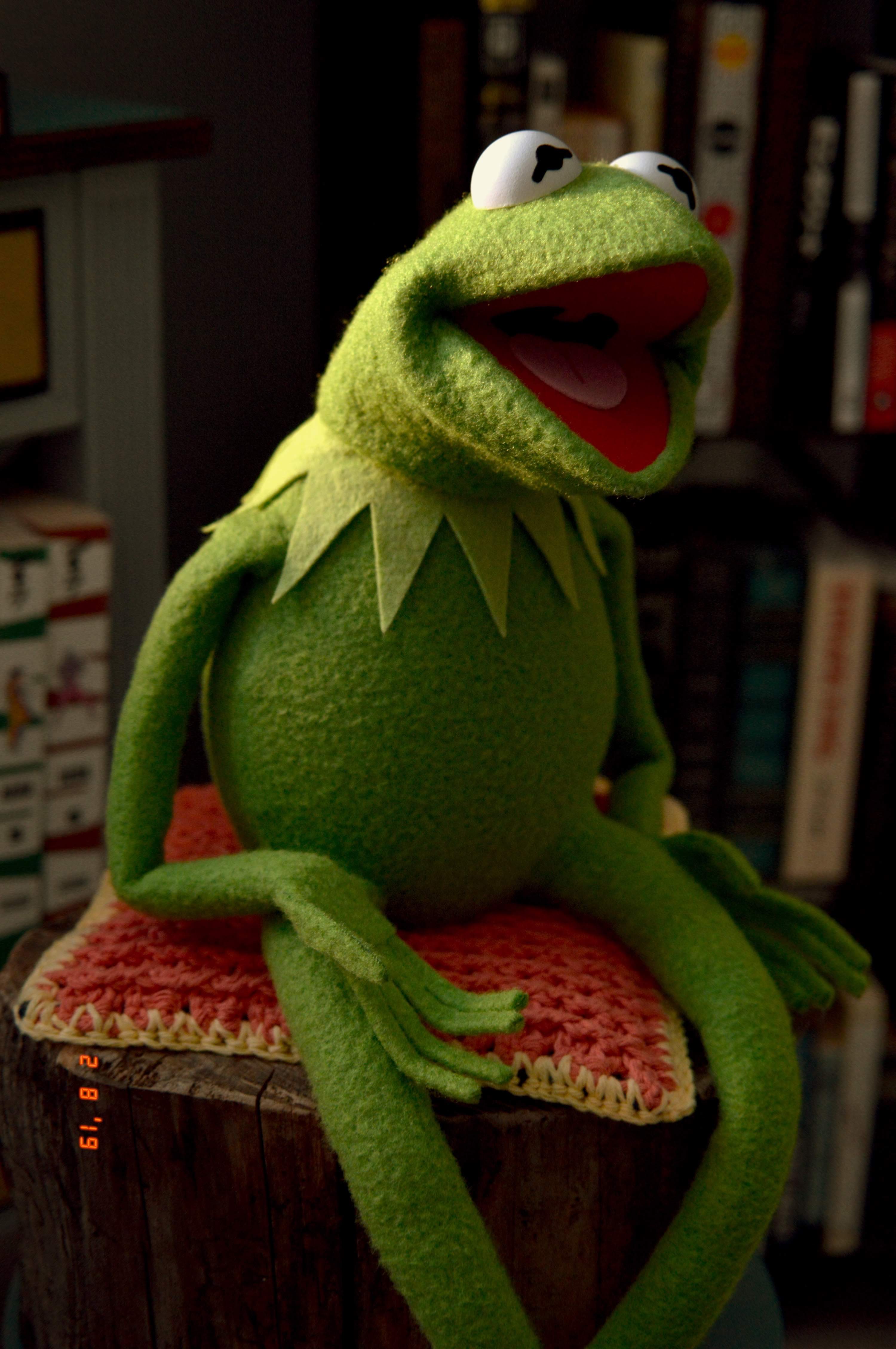 ecl's Kermit the Frog Puppet Replica (using my newest patterns) Page