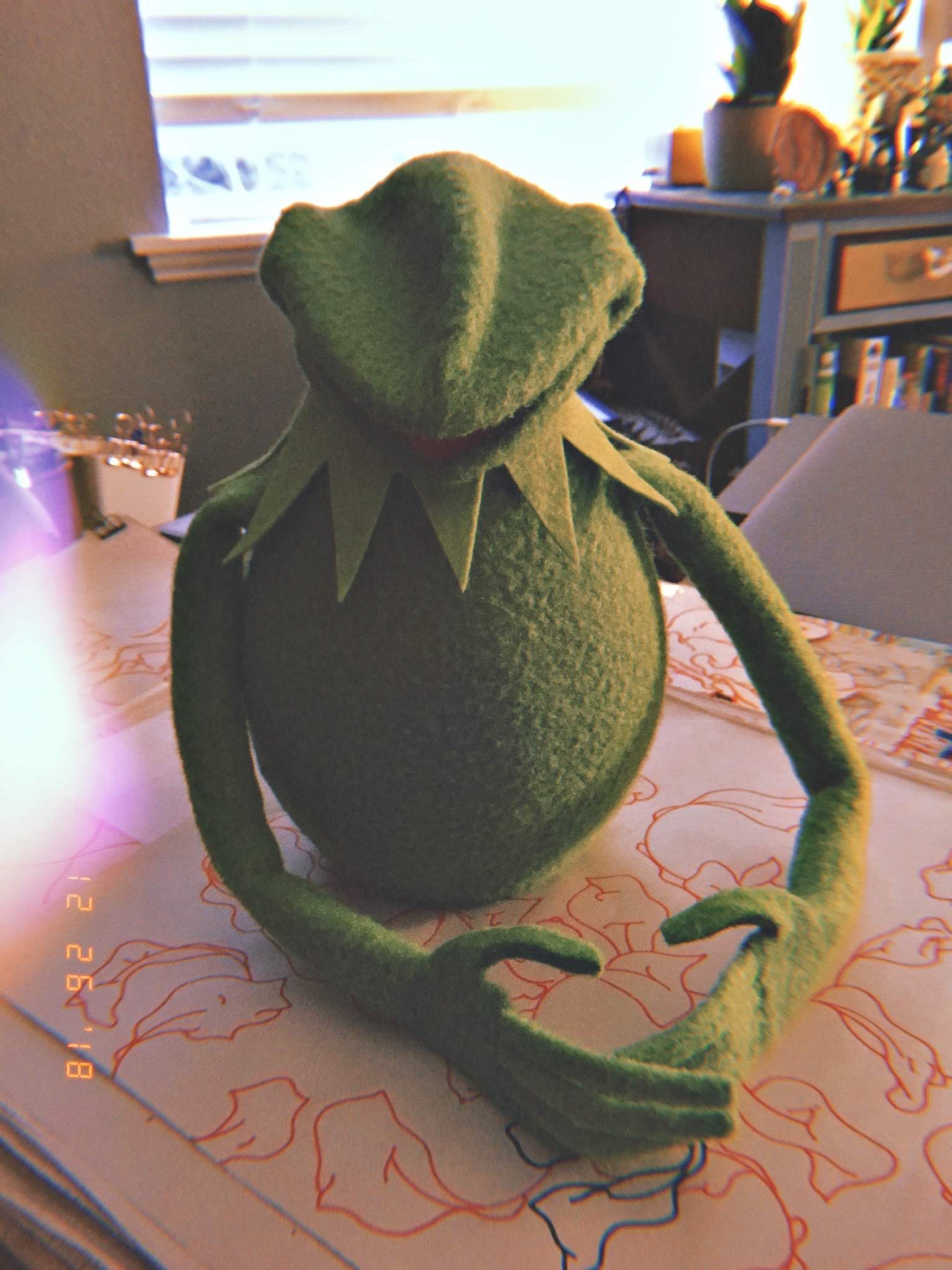 ecl�s Kermit the Frog Puppet Replica (using my newest