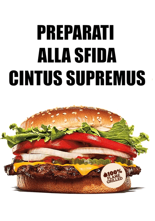 E.T. What in the World is a 'Cintus Supremus?' Page 2 RPF Costume