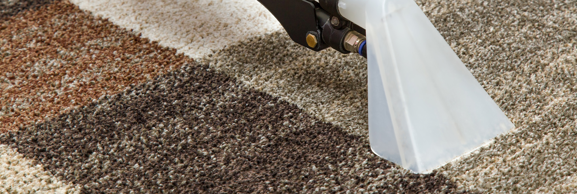 5 Essential Rug Cleaning Tips The Rug Maker