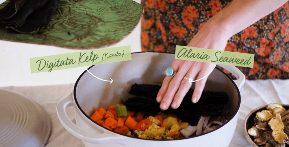 A Delicious DIY Herbal Healing Broth The Sacred Science