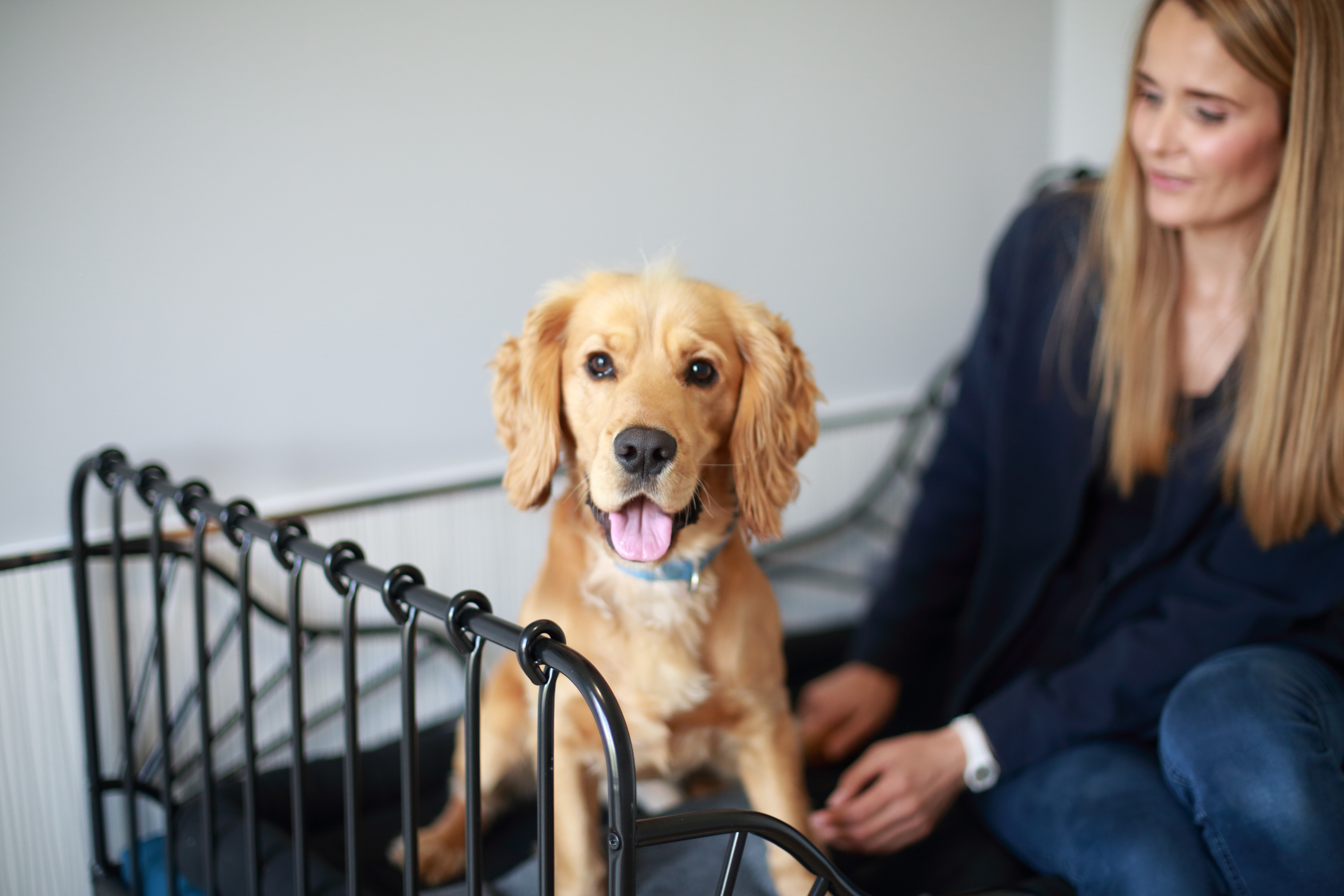 Pets At Home East Kilbride Anna Blog