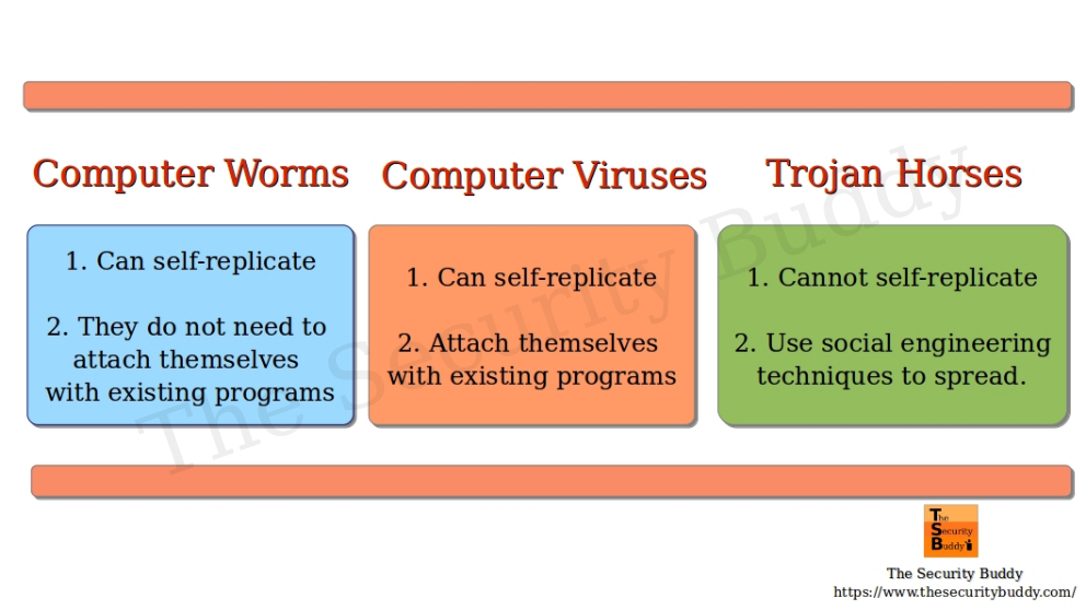 Worm vs Virus vs Trojan The Security Buddy