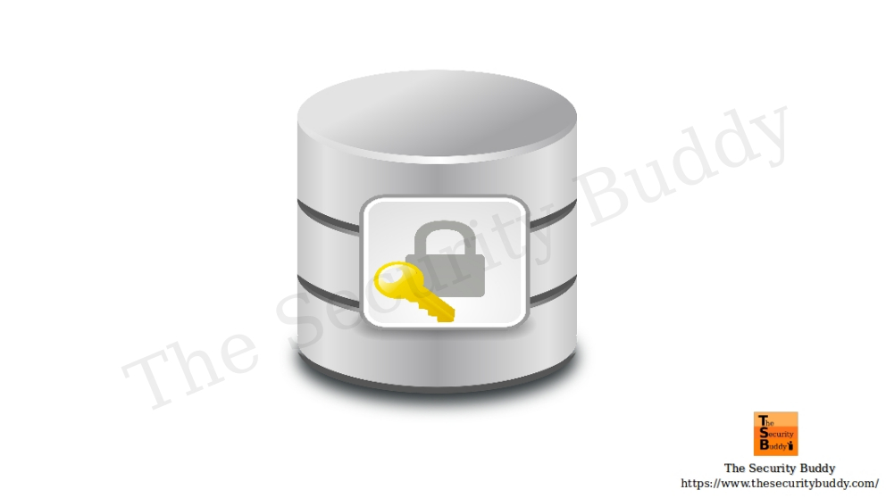 What is database encryption and why do we need that? The Security Buddy