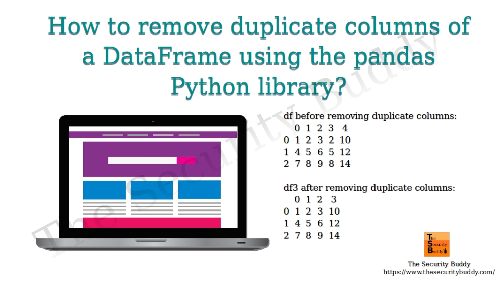 Print Duplicate Rows In Dataframe Python