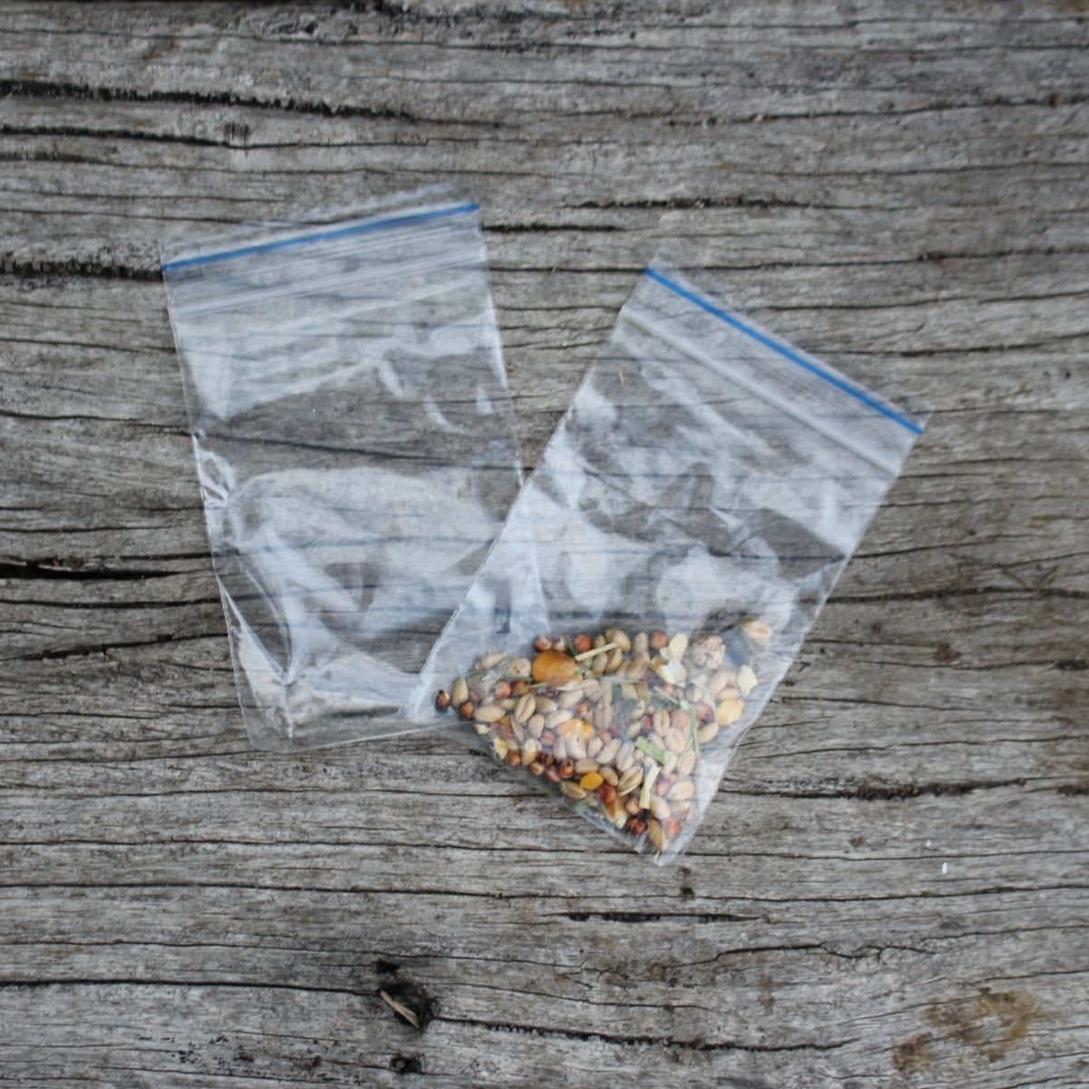 100 Zip Lock Bags The Seed Collection