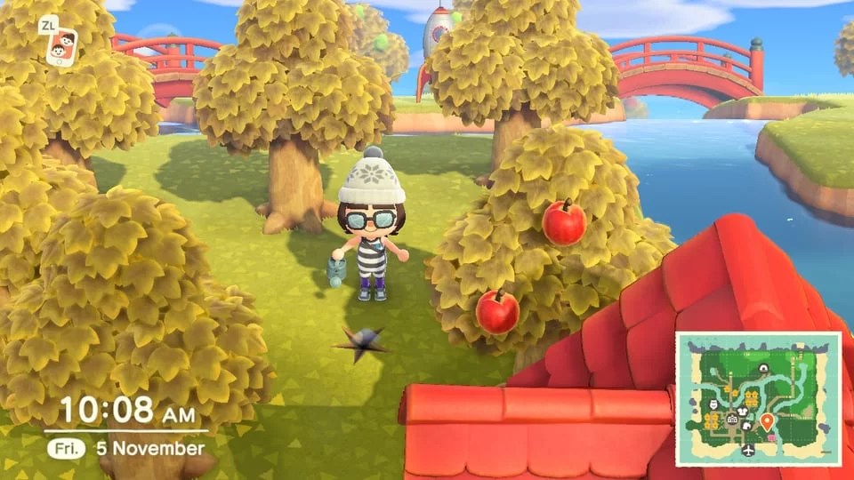Animal Crossing New Horizons Guide How to collect Gyroids and where