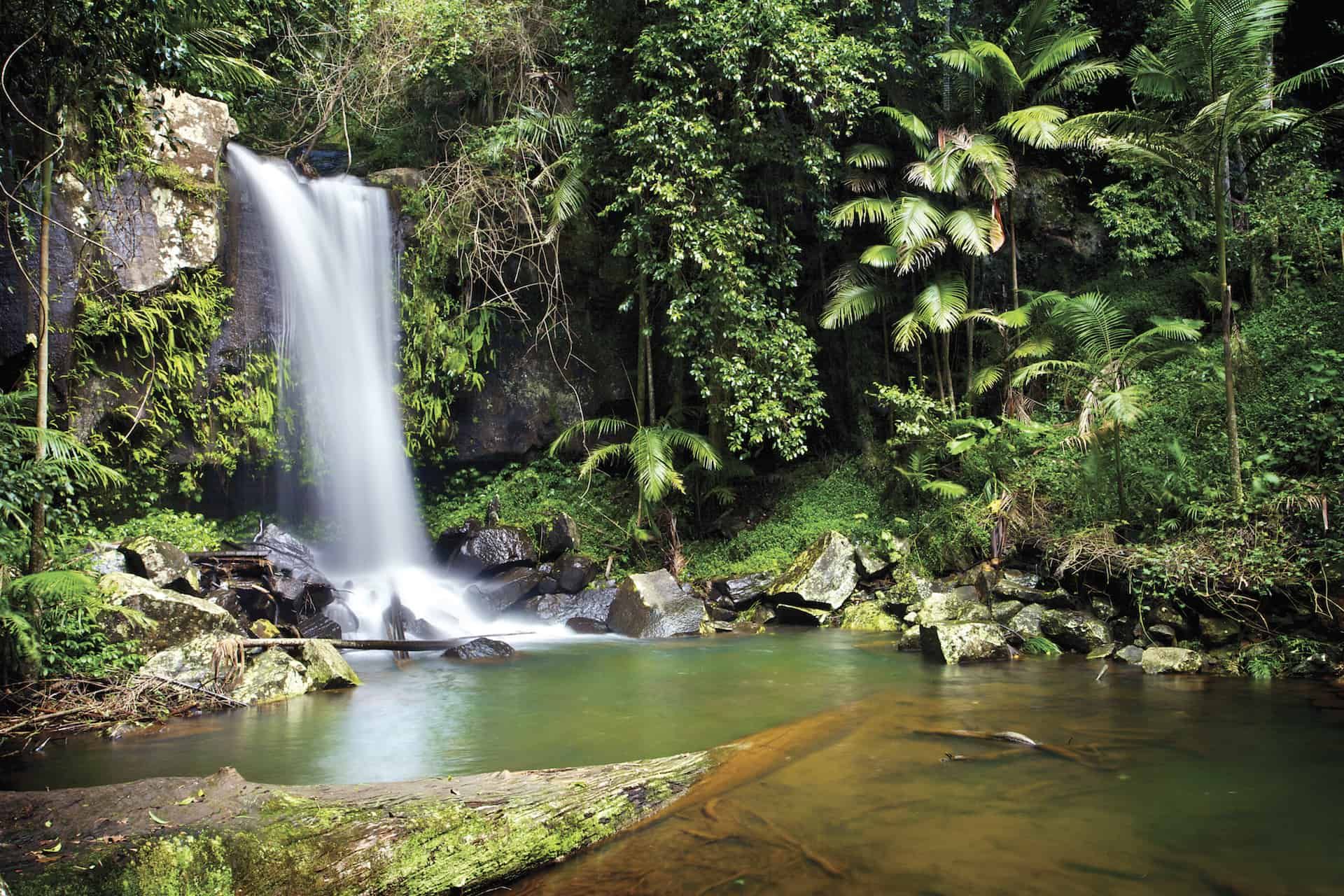 Head Down Under to Australia's magnificent Gold Coast Hinterland