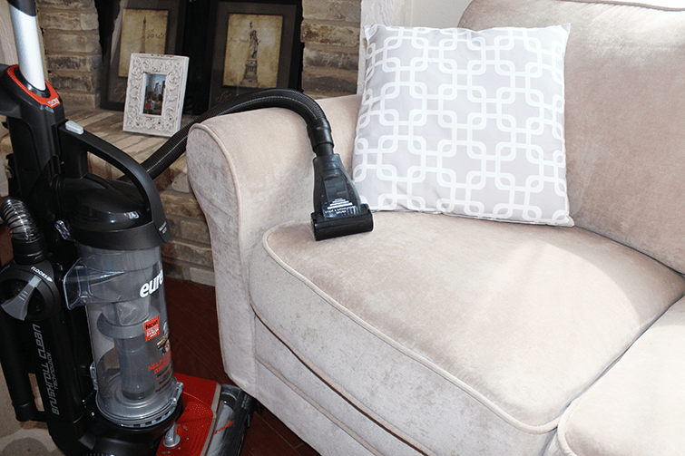 Cleaning Checklist for Pet Owners • The Southern Thing