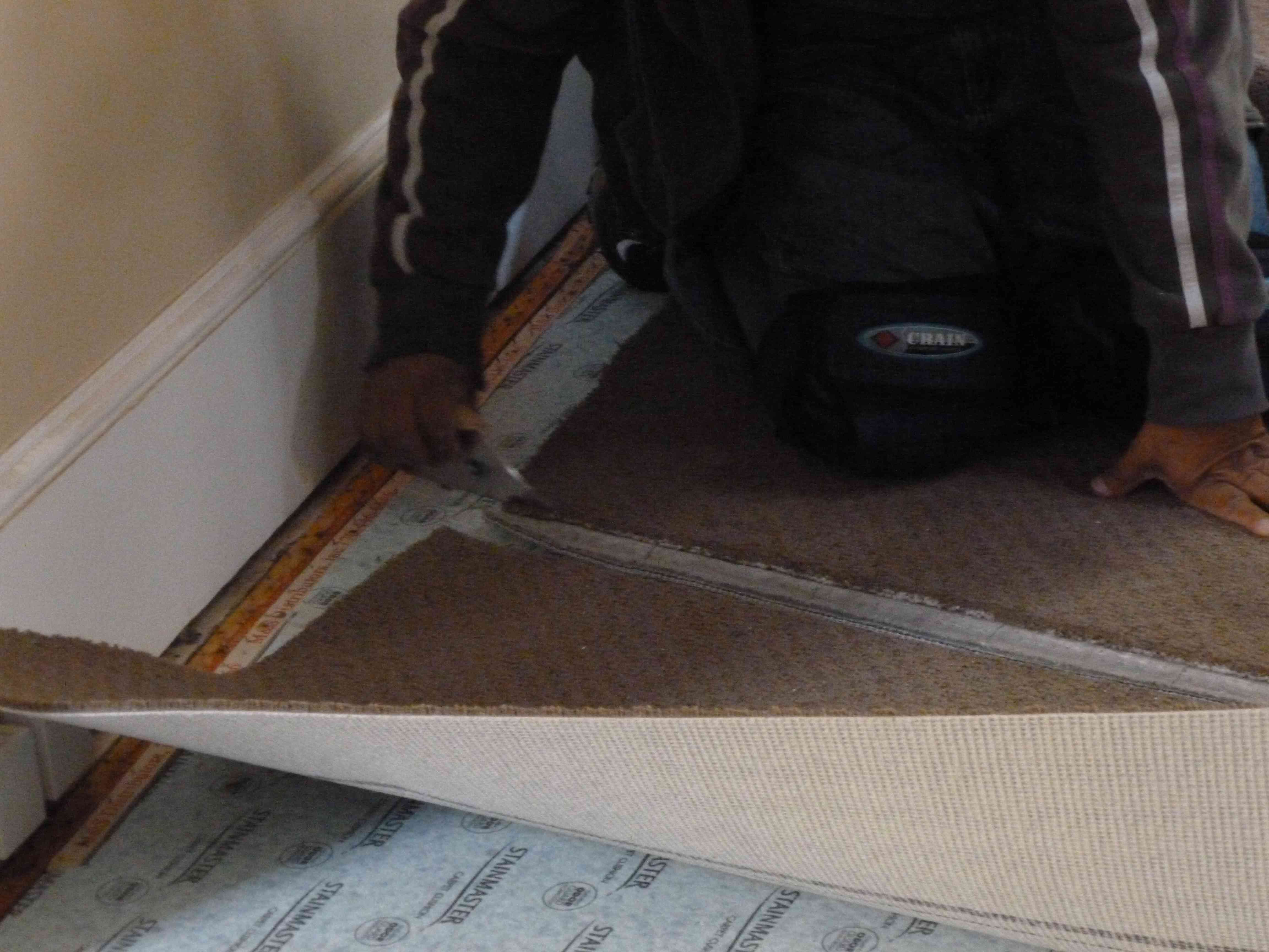 How to Cut and Seam a Carpet