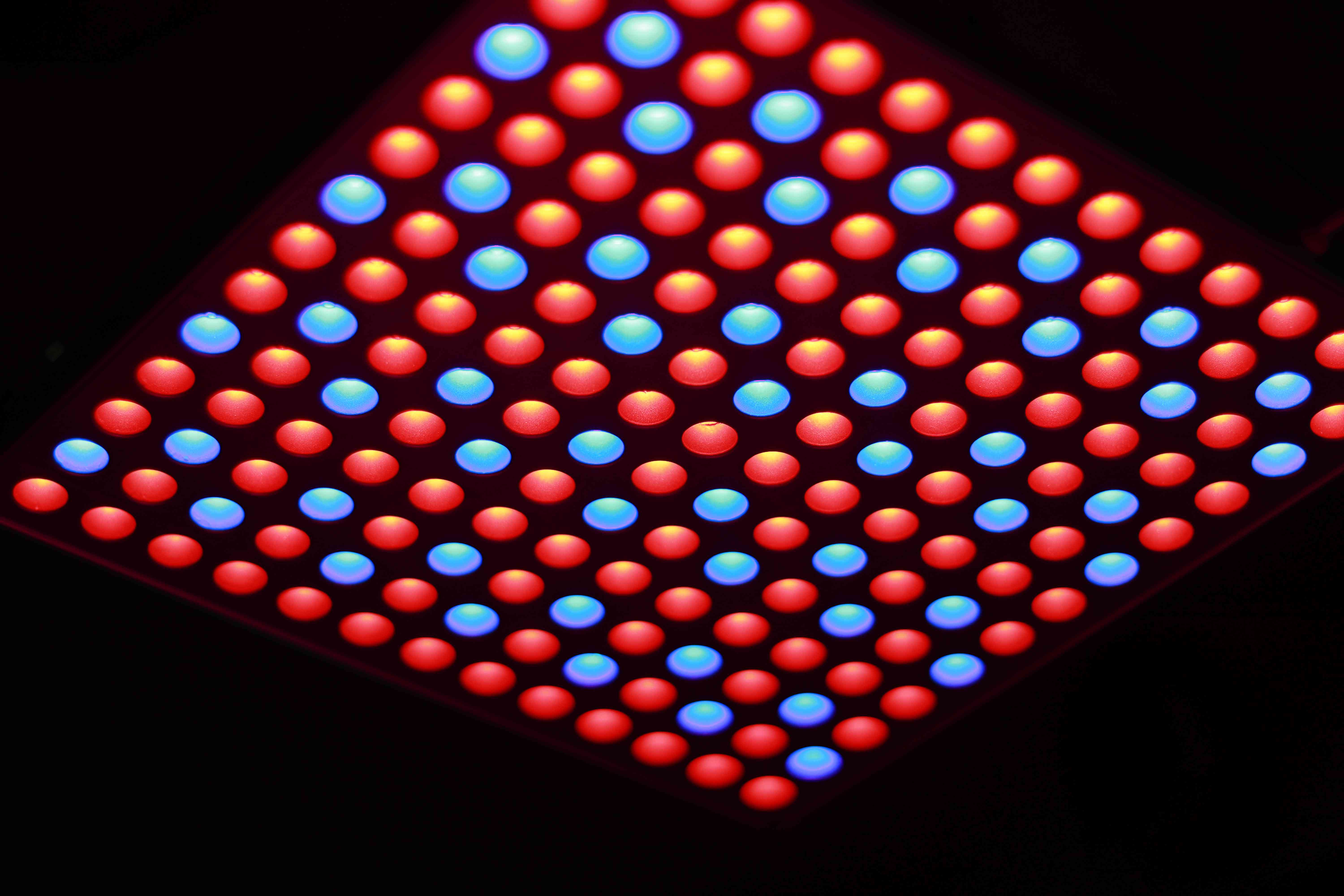 Roleadro LED 75W Grow Light Review Worth It for Seedlings