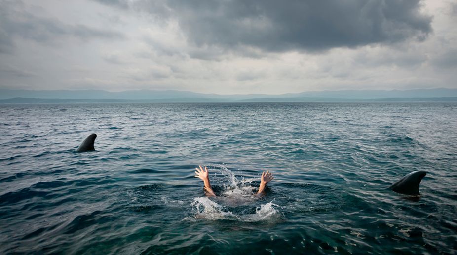 Indianorigin US financier killed in Costa Rica shark attack The