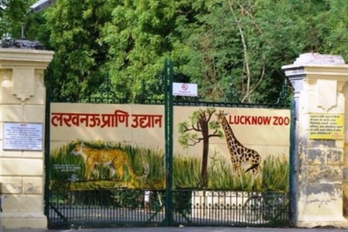 Rescued exotic animals now in Lucknow zoo The Statesman