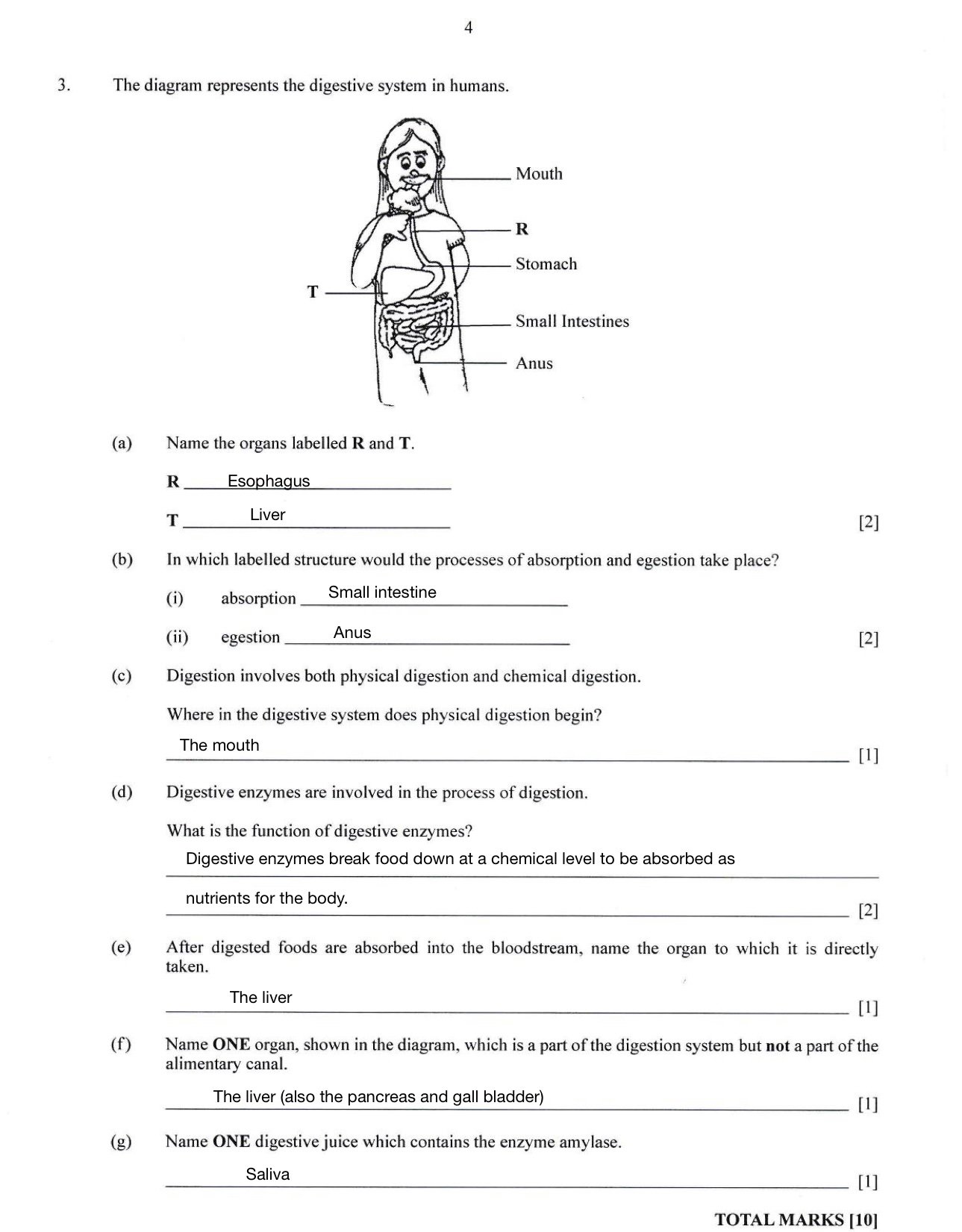 2016 BJC Health Science Answer Keys The Student Shed