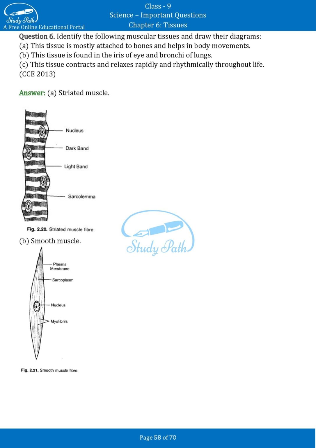 Important Questions for Class 9 Science Chapter 6 Tissues Study Path