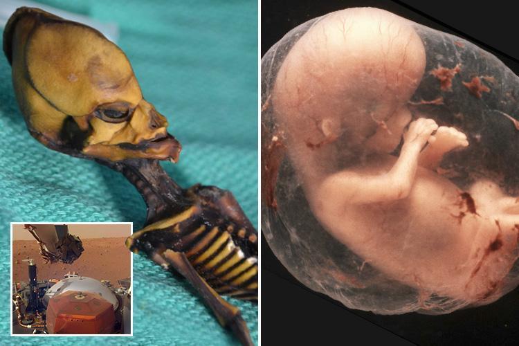 How human babies born on Mars would suffer horrific MUTATIONS due to