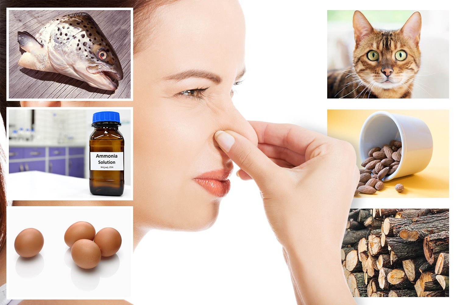 The smells you should never ignore from fish warning of a burning