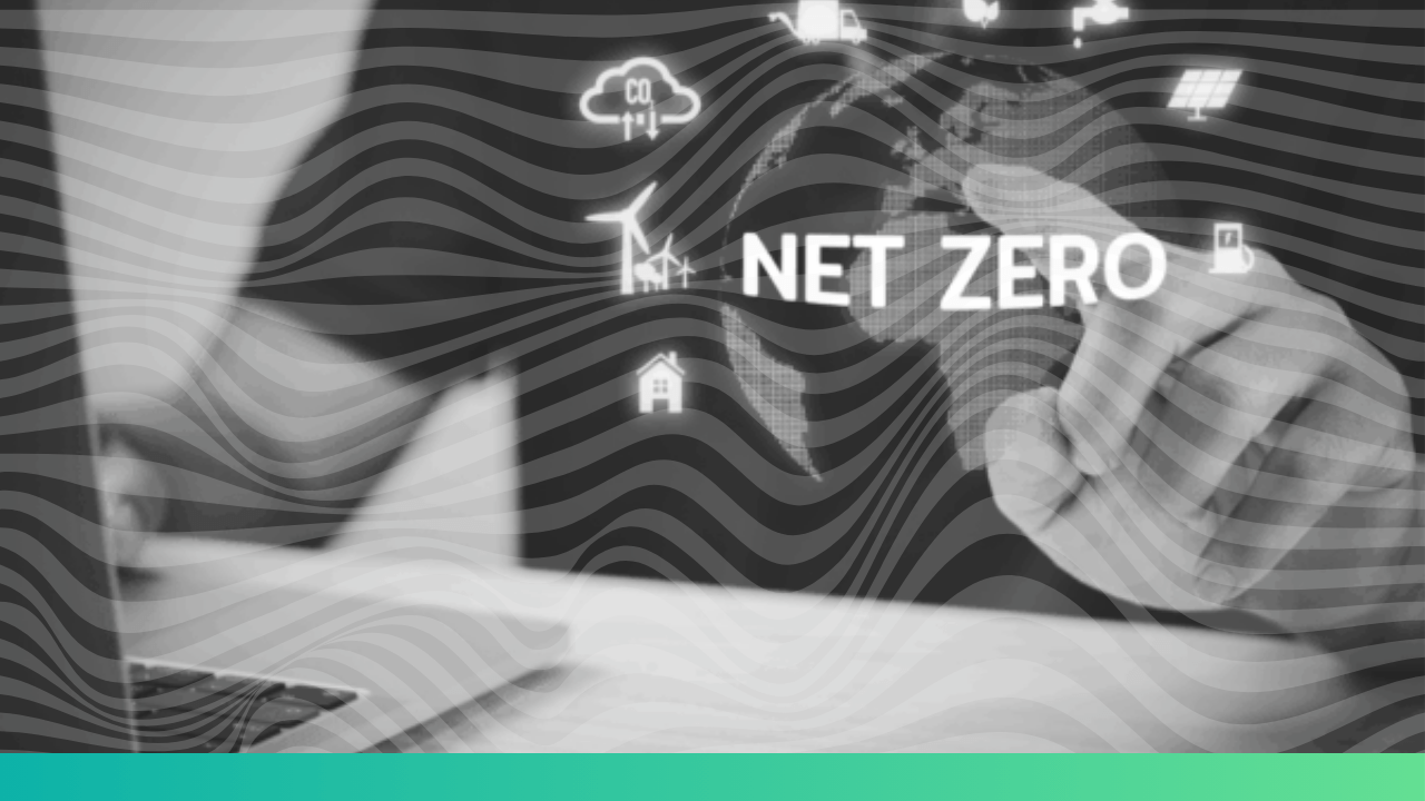 What is NetZero? LogicLadder(05)