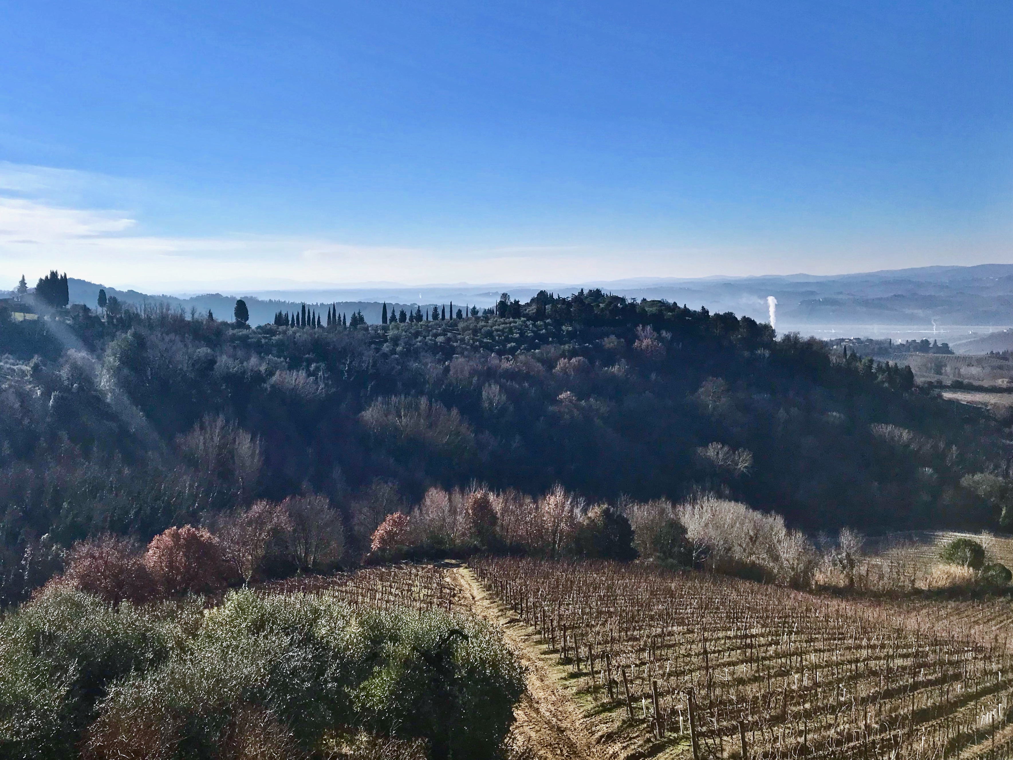 Tuscan Wine Tour