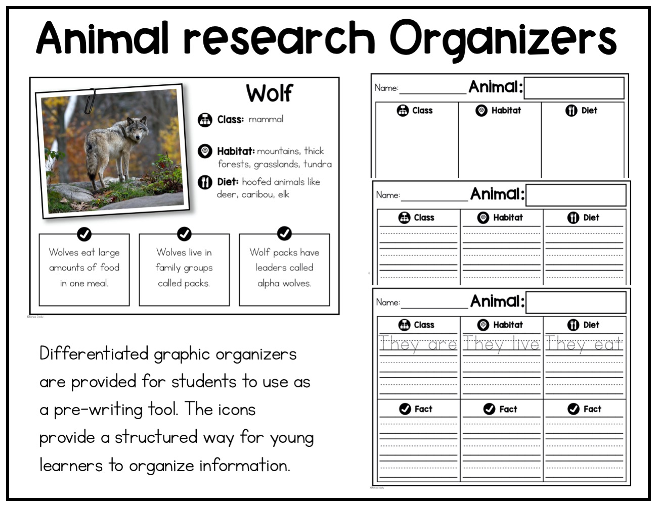 Forest Animal Research Report The Teacher Bag