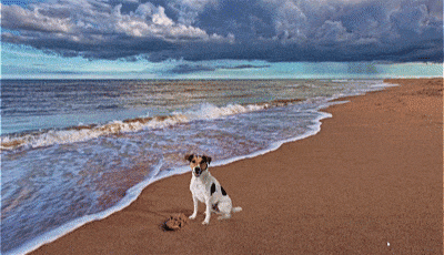 How To Make 3d Pop Out Photo Effect In Powerpoint 2016 2019 Tutorial