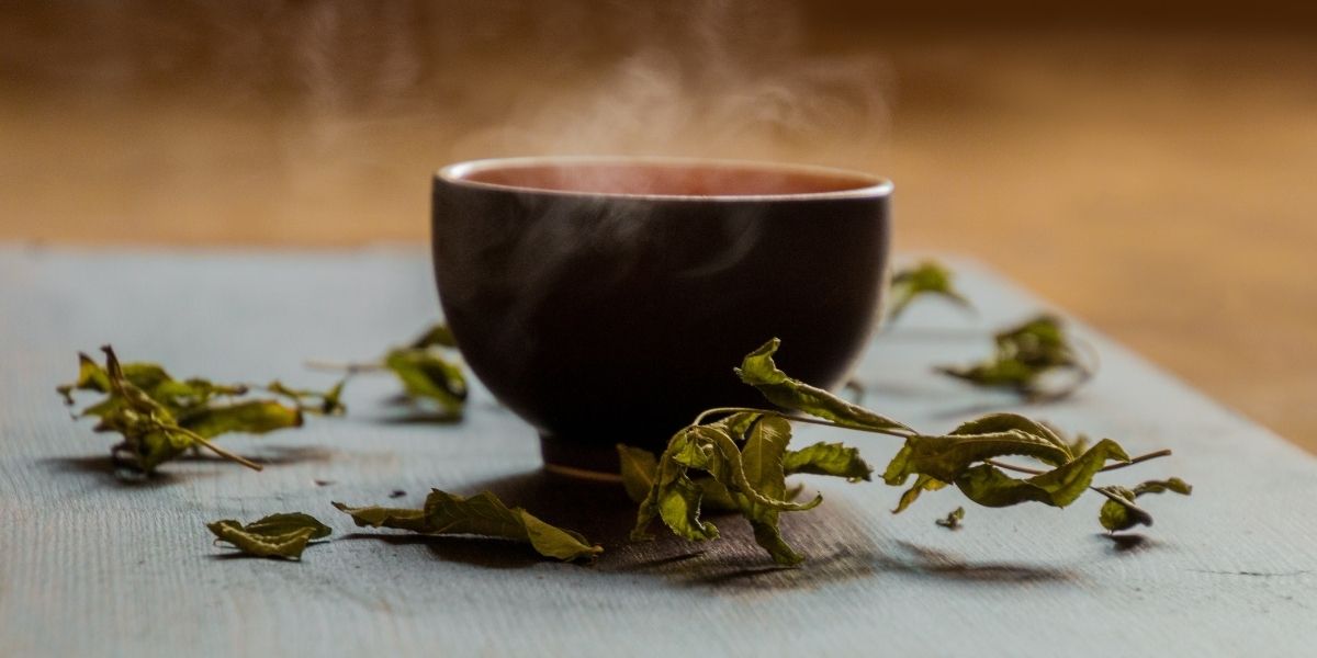How to enjoy Green Tea The Tea Chest Luxury Tea Merchants