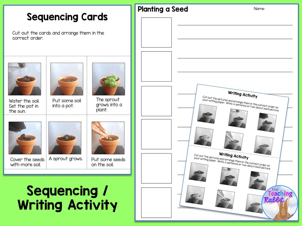 planting_a_seed_sequencing The Teaching Rabbit
