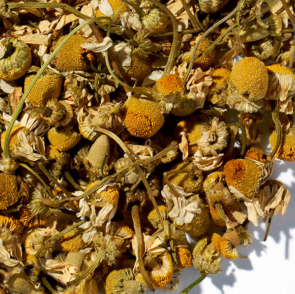 Egyptian Chamomile Tea The Tea Table