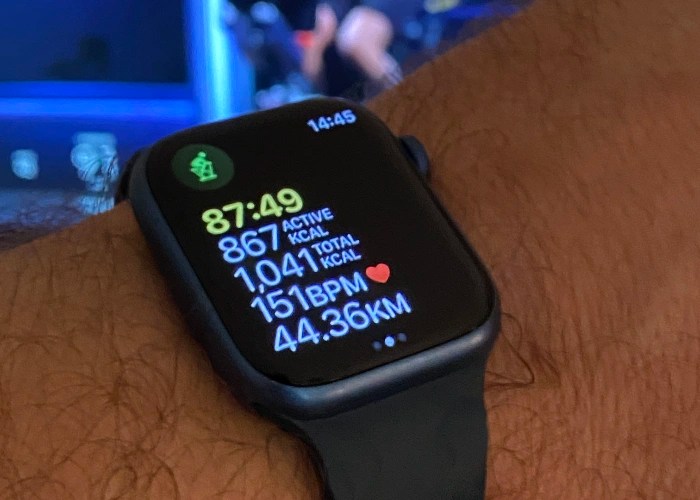 Apple Watch Not Ringing? How to Fix The Problem The Tech Edvocate