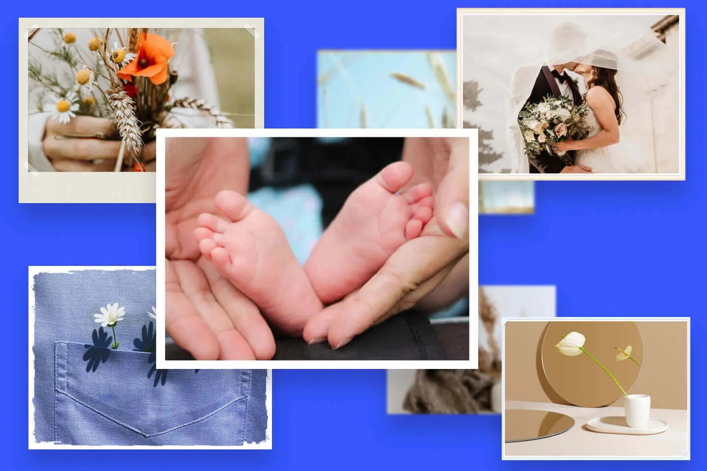 How to Add Borders to Photos Easy Methods The Tech Edvocate