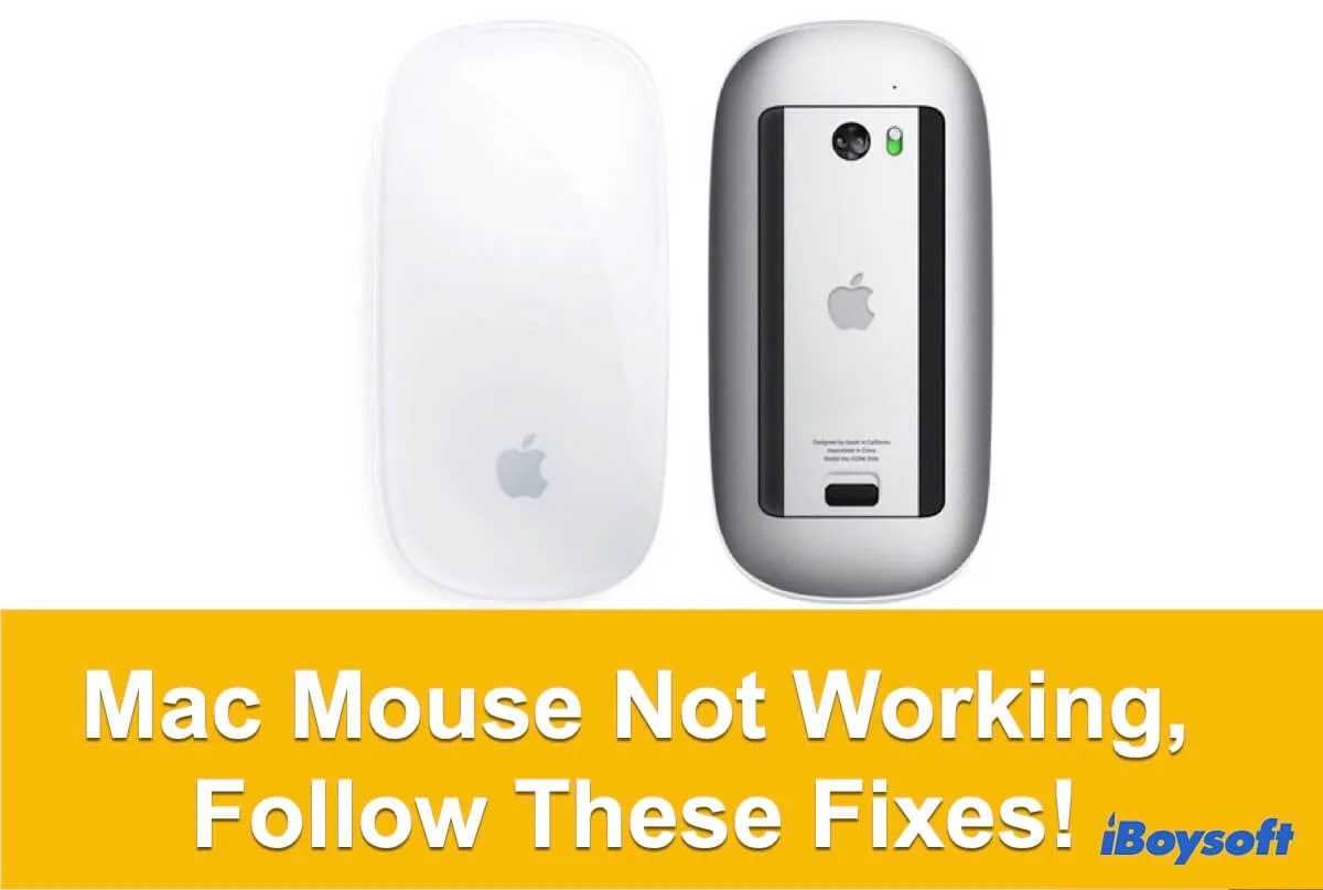 Mouse Not Working on Your Mac? Tips to Fix It The Tech Edvocate