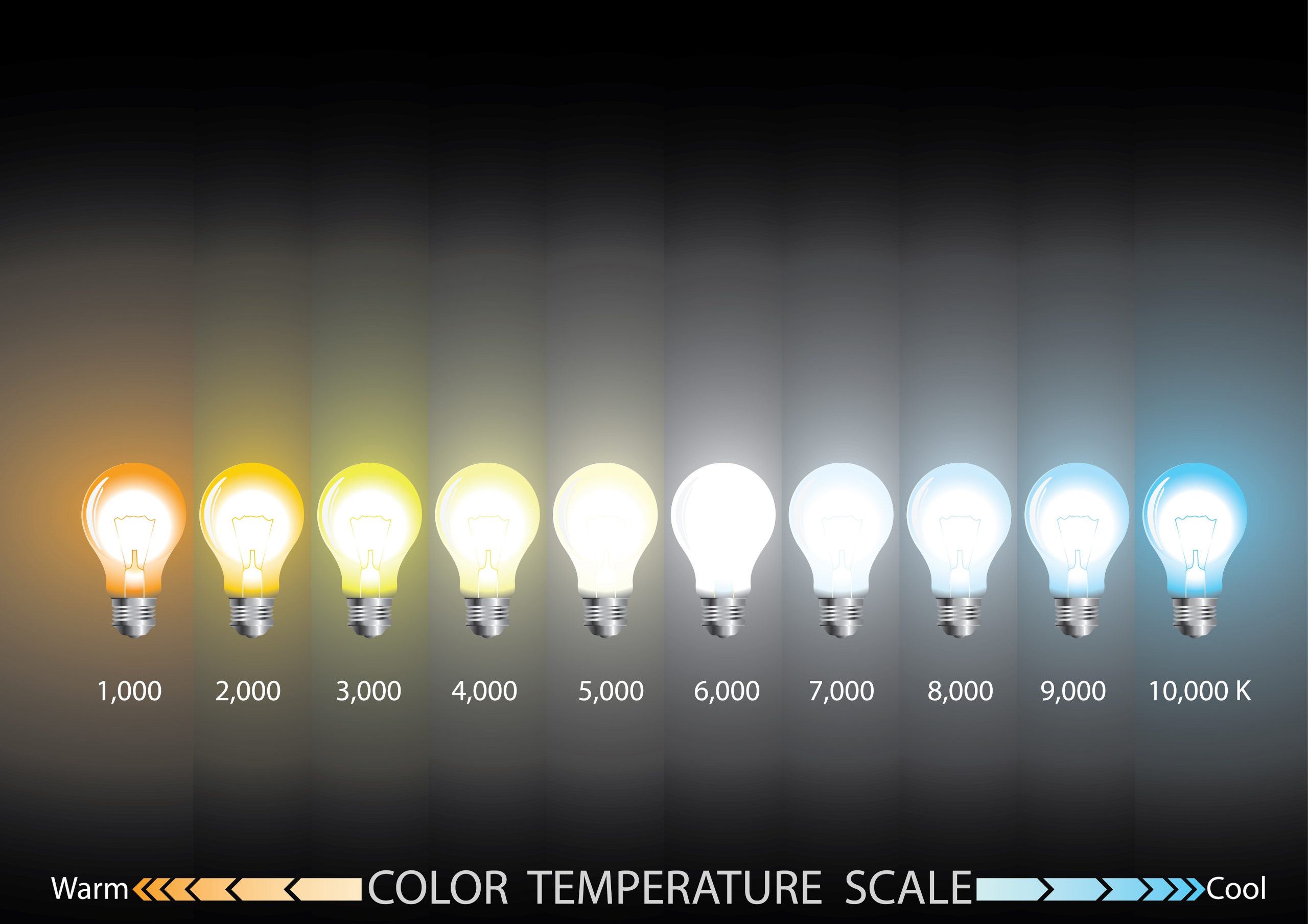 Warm Light Bulbs vs. Cool Light Bulbs Which is Best for You? The