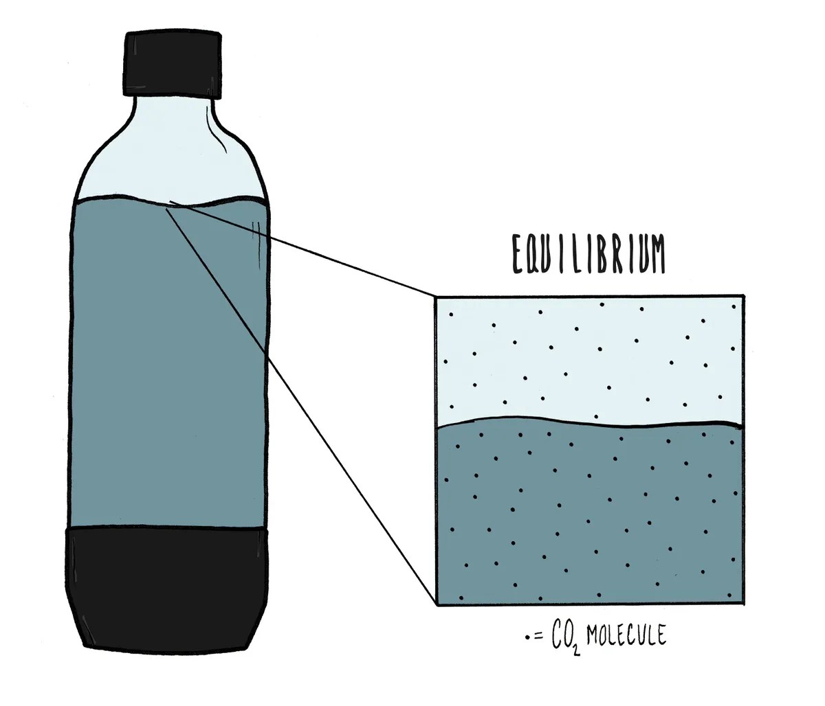 The Science Behind Carbonated Beverages A Compressed Chemistry The
