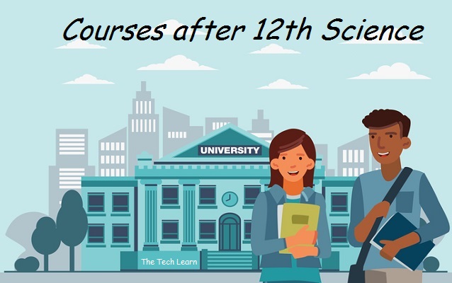 Best Career Options And High Salary Courses After 12th