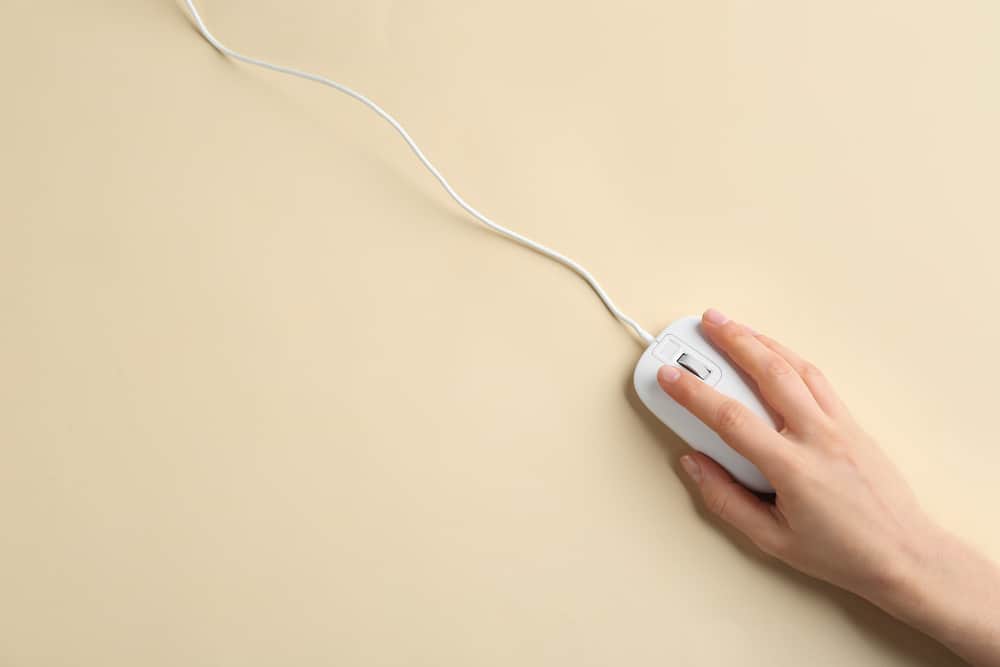 How Long Does A Computer Mouse Last? (Explained)