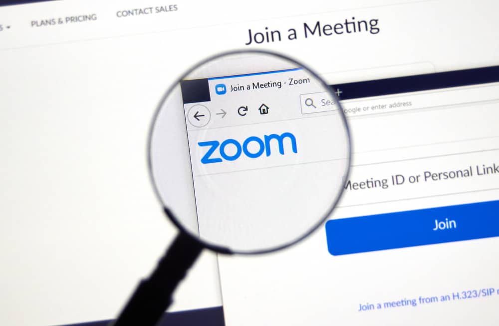 Does Zoom Record Your Screen Or Just The Meeting? (Explained)