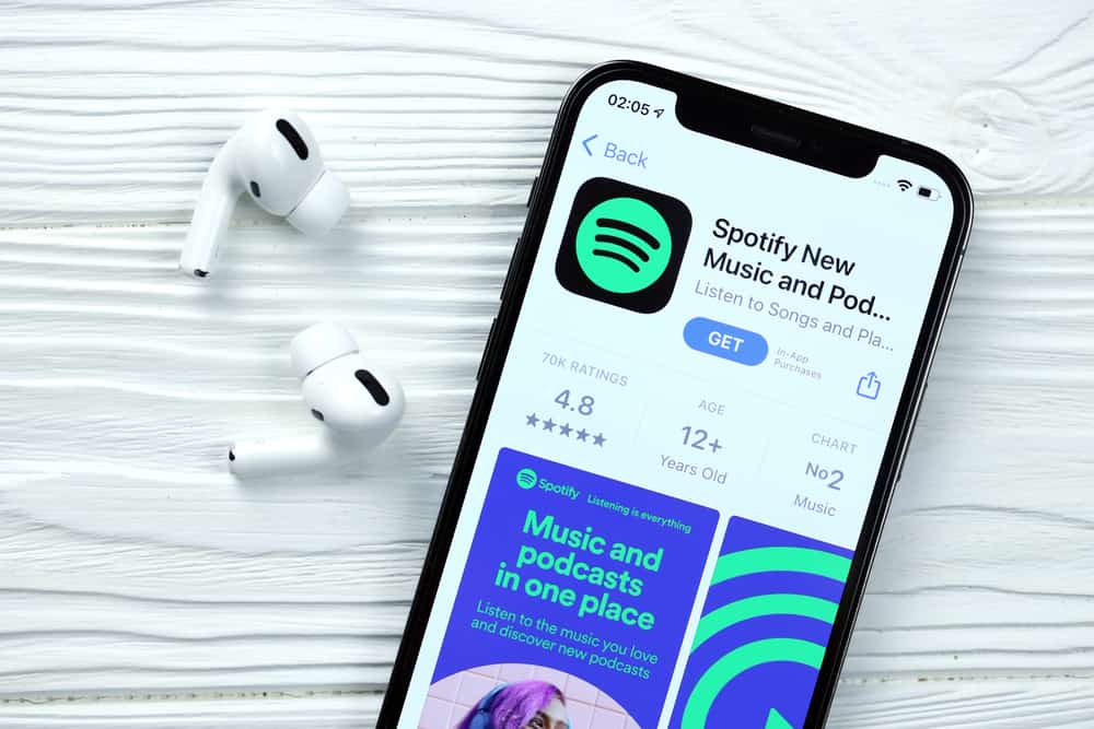 Can You See Who Views Your Spotify? (Explained)