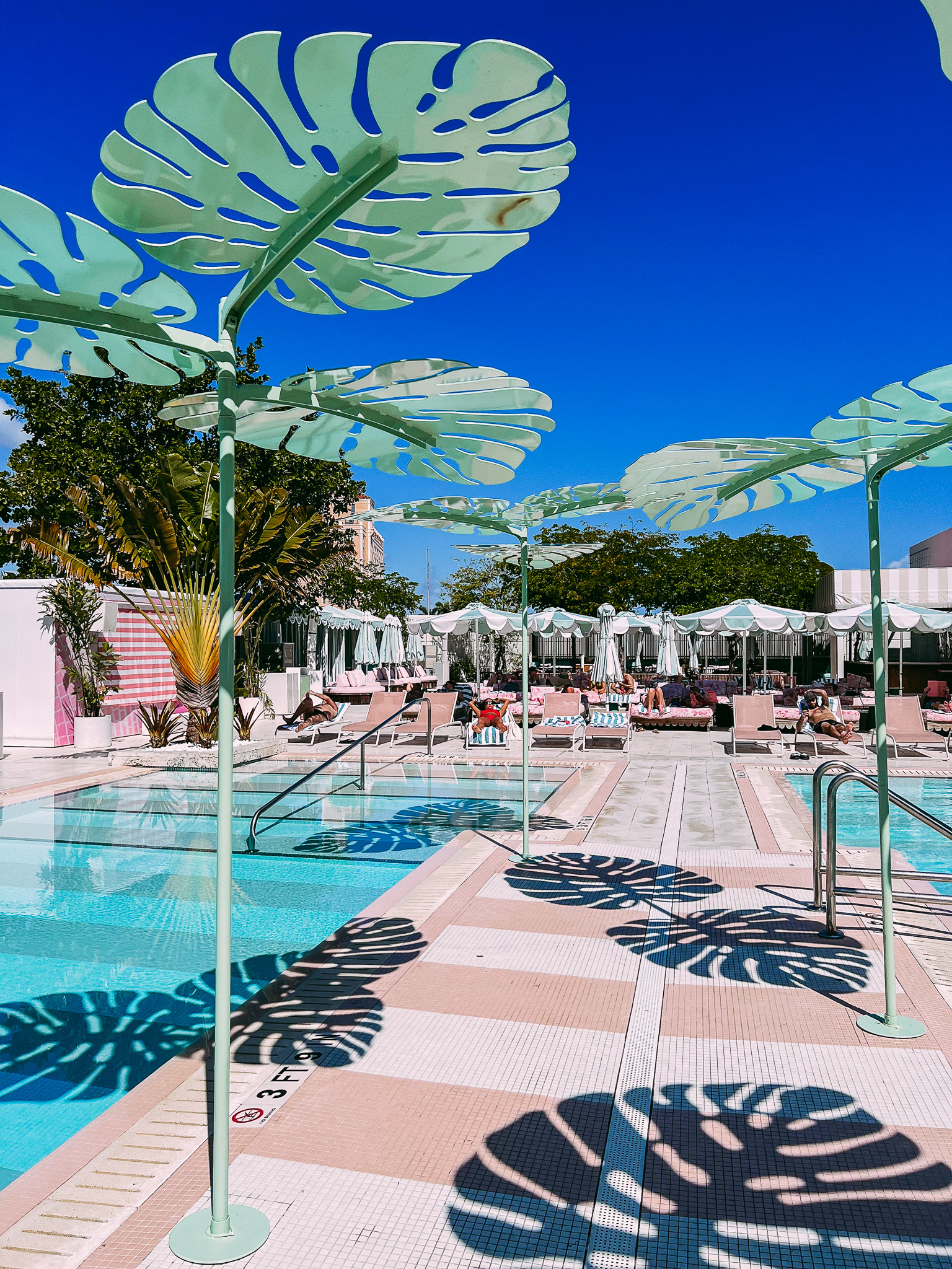 5 Must Visit Places on Miami Beach Thrifty Pineapple