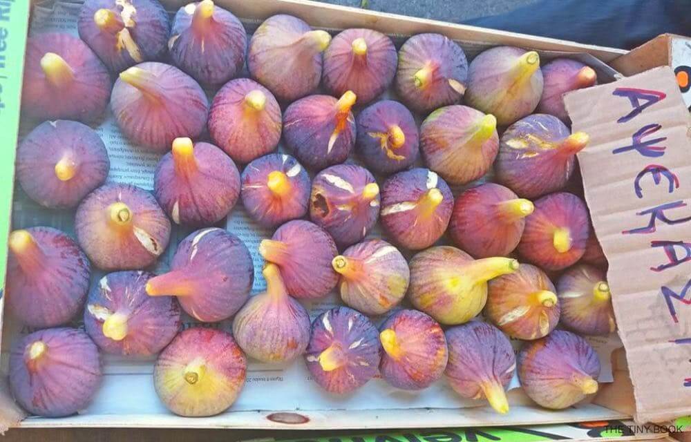 More than 35 Fun & Interesting Facts about Crete that will Surprise You!