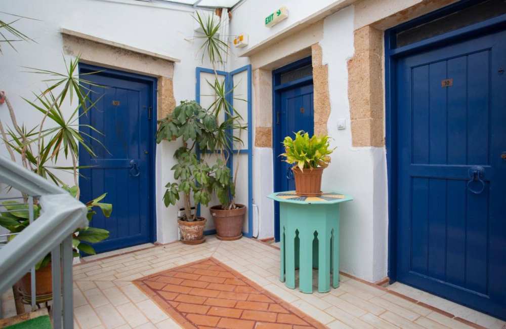 Best PetFriendly Hotels in Crete for Those Traveling with Fido (+ Genius Tips to Travel with