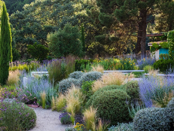 The Mediterranean Garden Styling and Layout The Tree Center™
