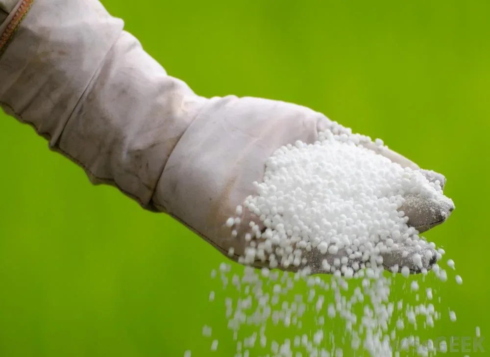What Is Urea Nitrogen Fertilizer? The Tree Center™