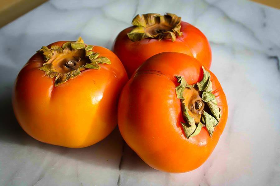 Persimmon Tree For Sale Online The Tree Center