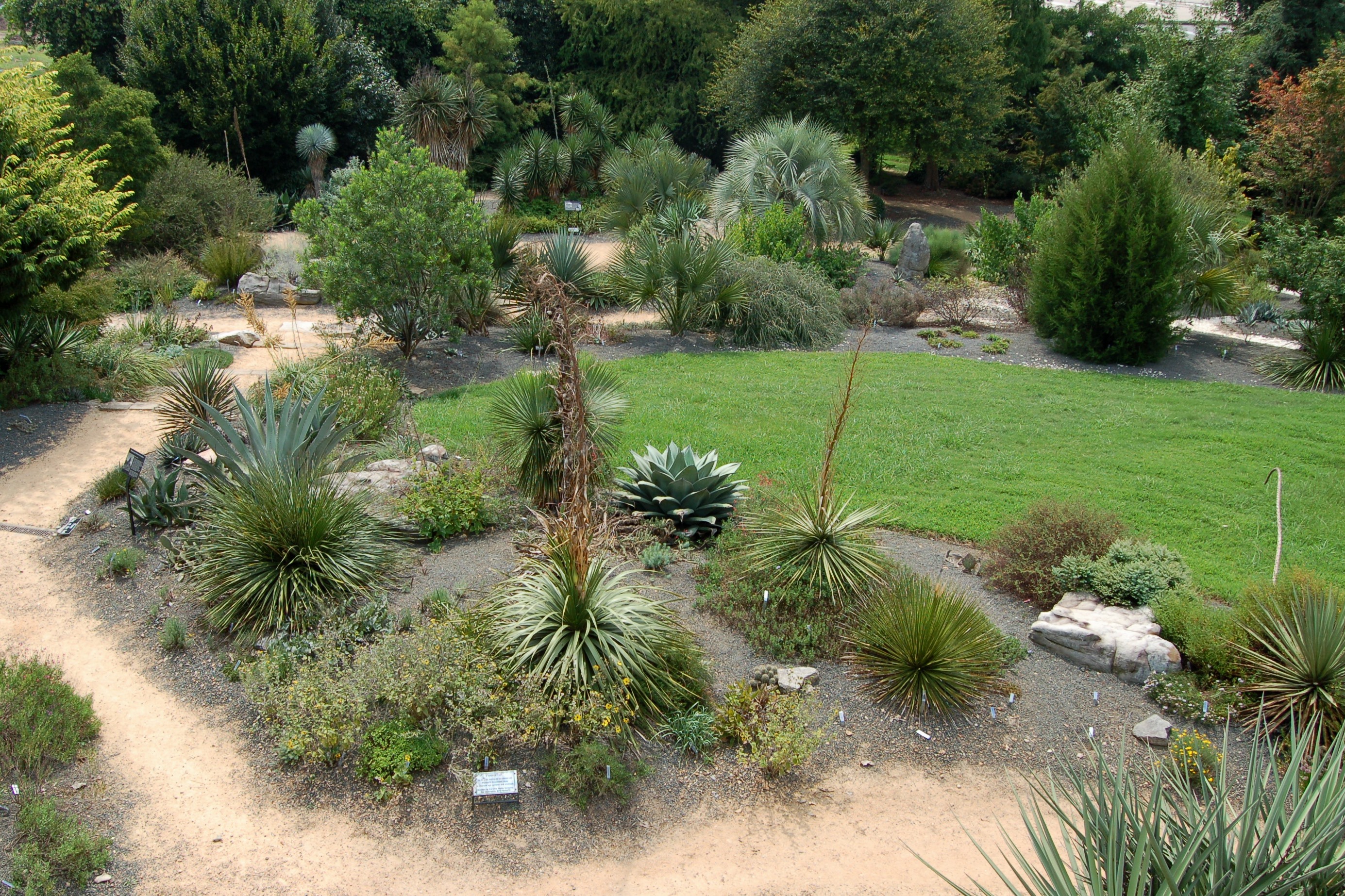 Xeric Garden Meaning Fasci Garden