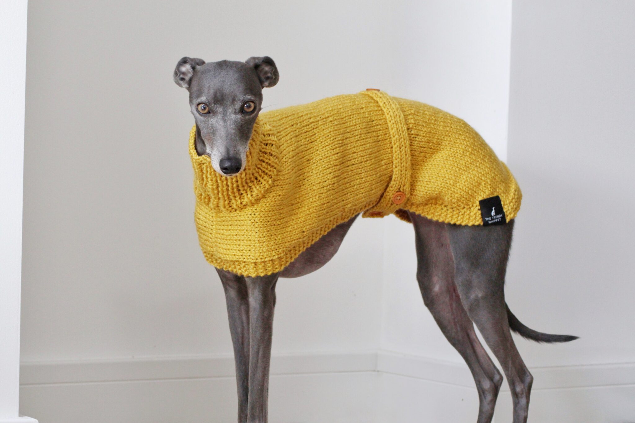 Mustard Yellow Hand Knitted Whippet Jumper Greyhound Italian Lurcher