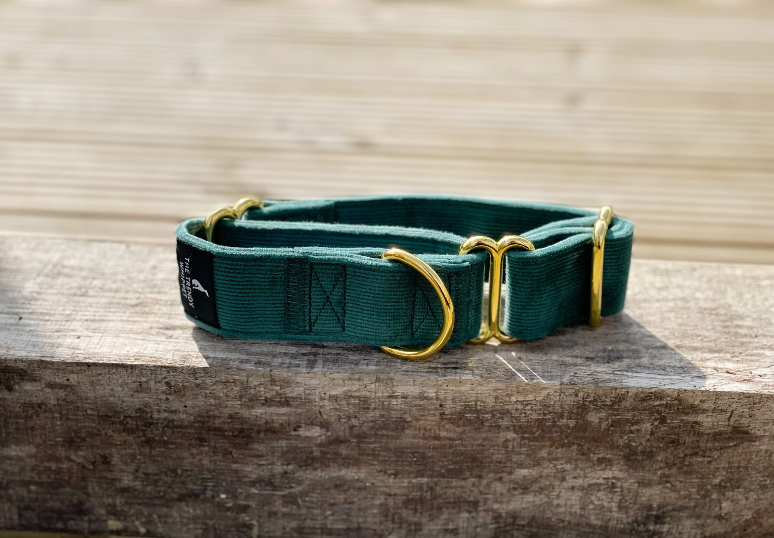 Green Corduroy Martingale Whippet Greyhound Collar Iggy Lurcher