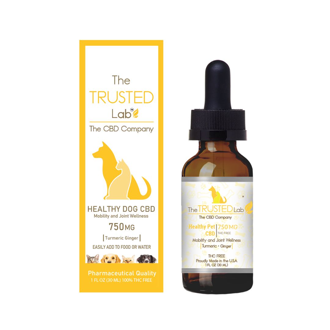 CBD Oil with Turmeric and Ginger For Dogs All Natural No THC
