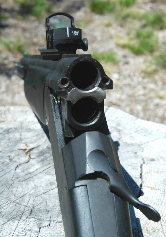 Gun Review Stoeger Double Defense Over/Under 12 Gauge The Truth