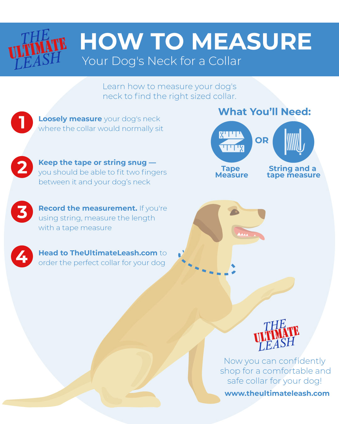 Martingale Dog Collars How to Measure Your Dog's Neck for a Collar