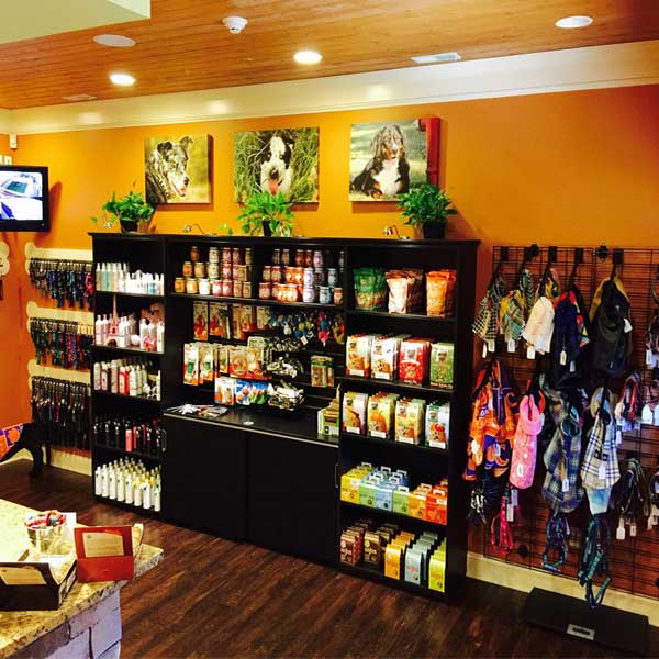 Ultimate Pet Lodge Live Playgrounds